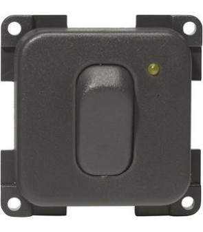 CBE 12 V Gray unip switch With Led