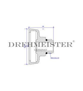 DISH connection Ø22 mm for W21.8 brass