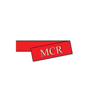 MCR TRIO-GAS detector 2 probes 12V gray