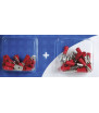 Kit 40 red flat M / F cable lugs 6.3x0.8