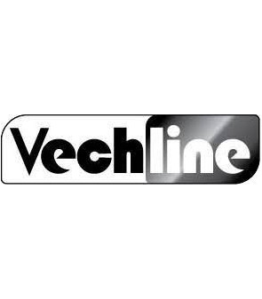 Batterie 100 Ah VECHLINE Full Cycling AGM Low