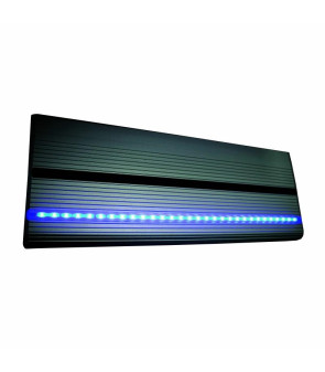 Kit d'éclairage de marche LED PROJECT 2000 - 12611
