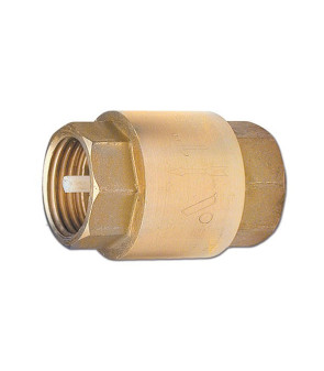 3/4 '' check valve