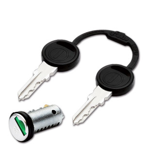 Kit 1 Zylinder 2 Schlüssel Zadi A.S. 4501 bis 4520 oder FPXXX