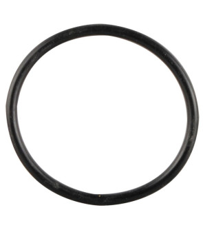 ELECTRIC RESISTANCE O-RING 32X2.5 BOILER TT