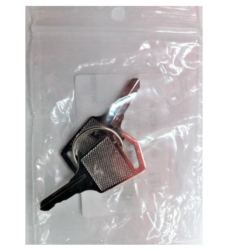 KEY for LIPPERT DROP-DOWN BED IGNITION 425616