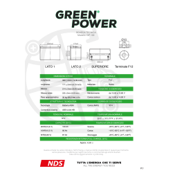 GP100 NDS GREENPOWER AGM-Servicebatterie