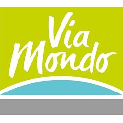 Tapis de véranda gris économique VIAMONDO