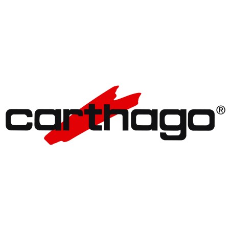 CBE 513225 SONDA SERBATOIO ACQUE GRIGIE PER CARTHAGO