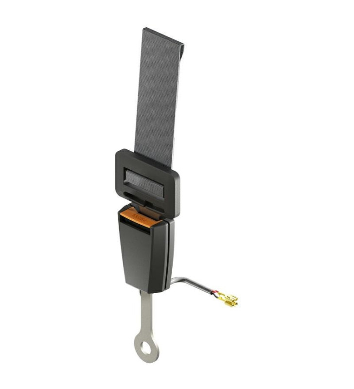 LIPPERT 425247 SAFETY STRAP BED DEVICE WITH...