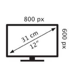 ALCAPOWER Monitor LCD TFT a Colori 12 POLLICI