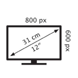 Monitor LCD en color TFT de 12 PULGADAS ALCAPOWER