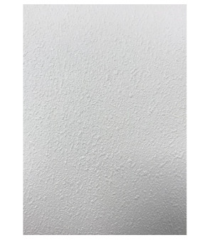 MELAMINE PLYWOOD ON ONE SIDE - ROUGH WHITE - TRIGANO 2.2mtx1.22mtx3 mm