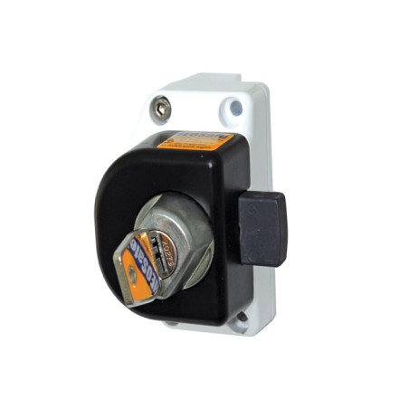 HEOSAFE 1556 - Serratura antifurto per porte cabina Iveco, Movano, Renault