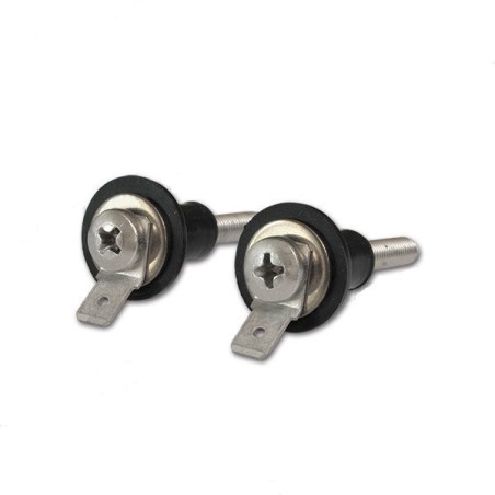 CBE 505000 - Pair of screw probes for SS/P recovery tank