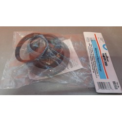 Seal kit for Aqua Magic Galaxy and Starlite after 03/85 - 08368