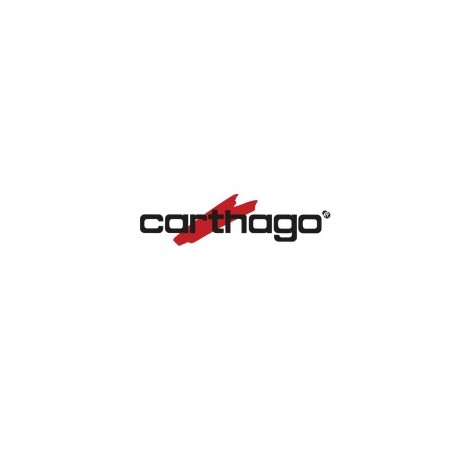 CARTER INTERNAL DOOR HANDLE CARAD-R/RF - BG2184