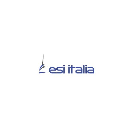 Fiat Ducato X244 Esi Armaturenbrett – 80700030