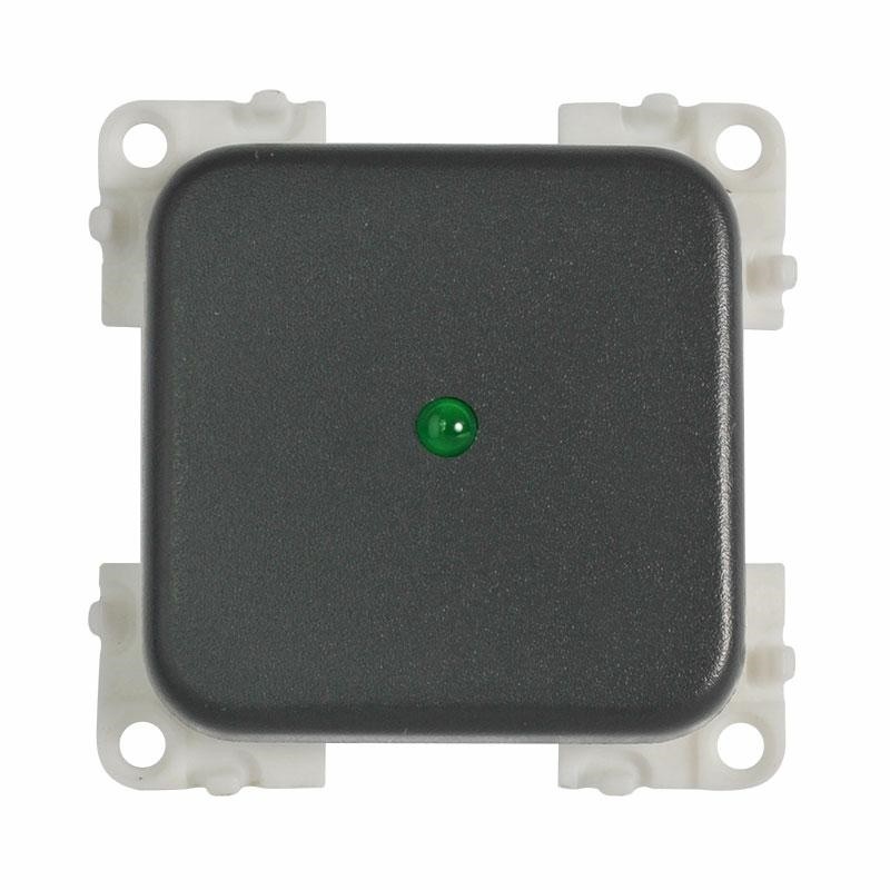 CBE Switch 12V + Led grey MC12P