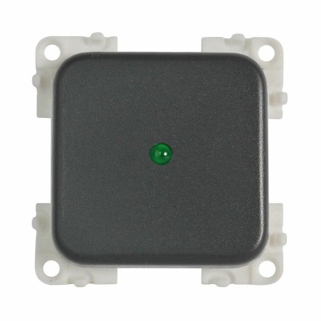 CBE Switch 12V + Led grey MC12P