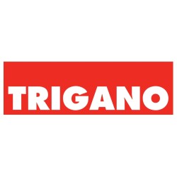 STEUEREINHEIT FÜR LIPPERT-BETT 12600 TRIGANO NICHT STANDARD (080-30040-04)
