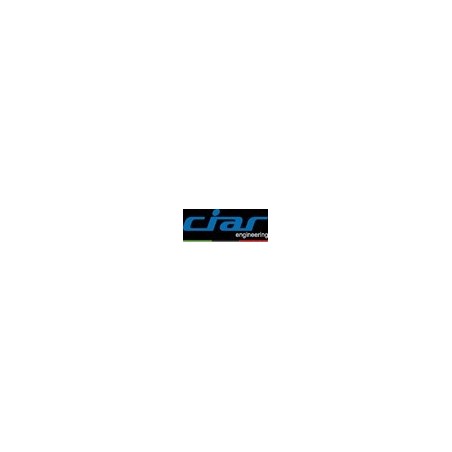 CIAR ACTUATOR LM20_03 STROKE 125 CLOSING 350 WITH ADJUSTABLE MICROSWITCHES