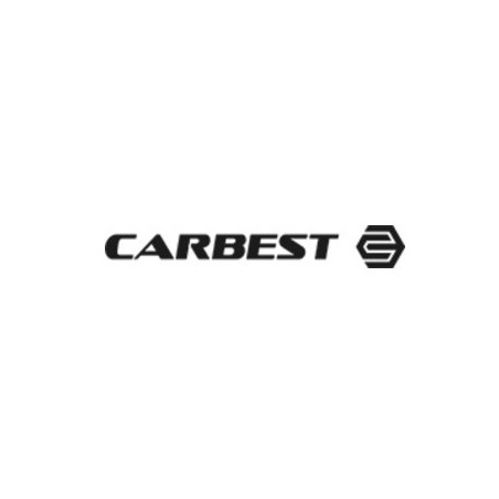 Carbest Escali Teleskop-Multifunktionsleiter mit max. Kapazität 3,2 m hoch