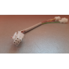 Adapterkabelbaum von NE185 auf NE355 - 000.403.90