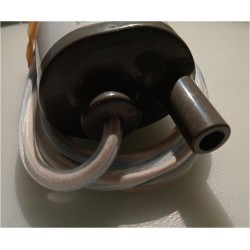 REICH Bomba de inmersión POWER JET PLUS 25 lt - 2,1 bar - 12VDC