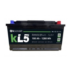 Batteria al litio LiFePo4...