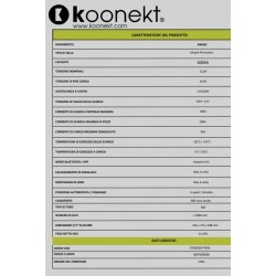Batteria al litio LiFePo4 con cella Prismatica compatta KL5 100Ah BMS INTEGRATO e BLUETOOTH - KOONEKT