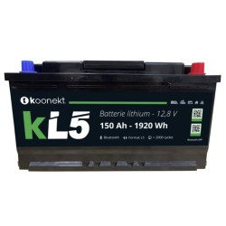 Batteria al litio LiFePo4...