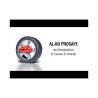 AL-KO PROSAFE wheel lock