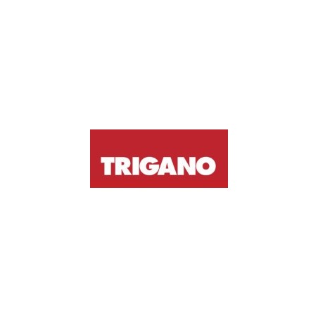 FAP SERRATURA COMPLETA_PER SCASSO OVALE - TRIGANO 1063CISX55EPI + 1098CI28PEN