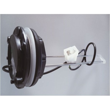 CBE 512022 Fixed 2-rod electronic probe - 22 cm