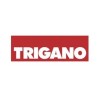 TRIGANO 1551.276.01 PLATTE NE276 GLAS 240X128