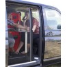 Remicare2 mosquito net - X250/290 - 1435x1080 - 10049017