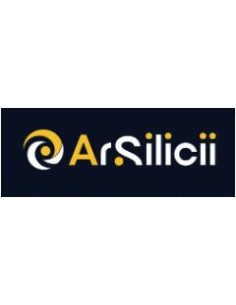 ARSILICII - CENTRALINA LED NEW IMPIANTO SEMI INTELLIGENTE 2