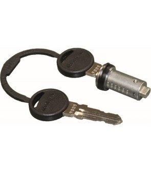 Cylinder and 2 keys ZADI SERVICE DOOR THETFORD 26604