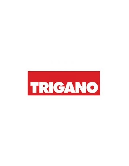 TRIGANO CENTRALINA PER LETTO CON CHIAVE LIPPERT 12600 NO STANDARD (080-30041-01)