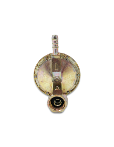 MONDIAL Regolatore GPL 1 Kg/h verticale...