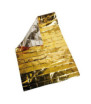 Gold / silver isothermal blanket - 160x210 cm